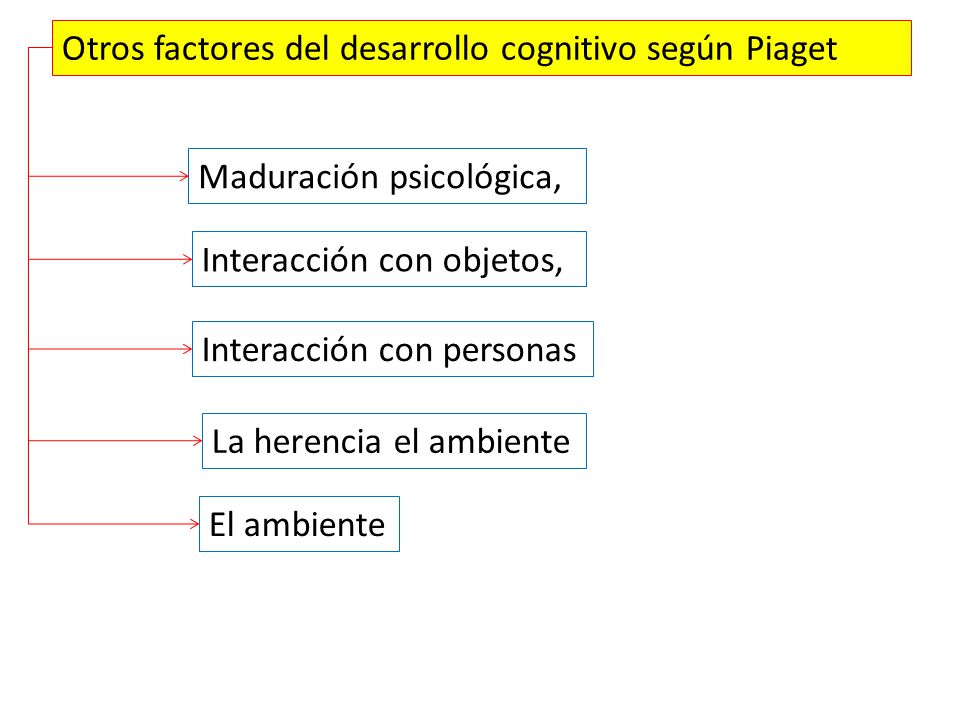 Sesi n 2 CONOCIMIENTO DE LA DID CTICA TEOR AS CONSTRUCTIVISTAS